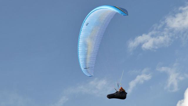 2 Himalayan vulture fly over a paraglide Ozone Swift 6